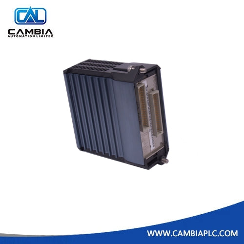 Foxboro FBM204 Automatic hot selling module