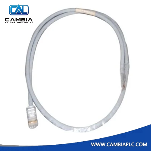 Foxboro P0800DV Cable Fieldbus Extension Ms Lower 2 Ft