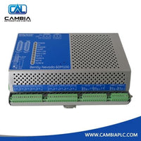 Bently Nevada 100A1000 High-Performance Industrial Drives Module