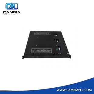 Triconex 1400010-001 Lithium Battery High Quality