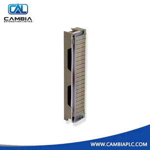 Bloque de terminales Schneider 140XTS00100 para módulo de E/S Modicon Quantum