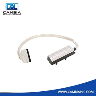 كابل Allen-Bradley 1492-CABLE010X مُجهز مسبقًا