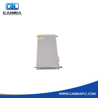 Bently Nevada 135031-01 | RIM I/O Module