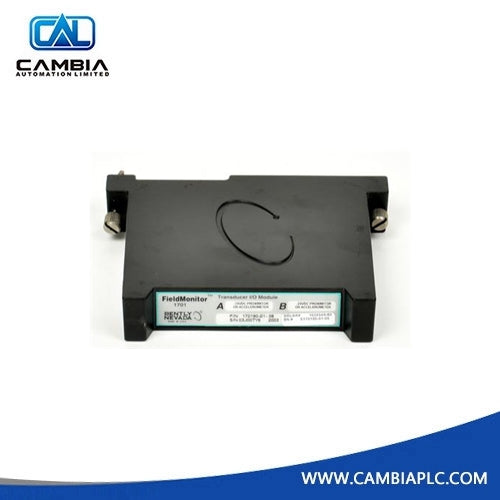 1701/25-01 | Bently Nevada | Seismic Input Monitor Module for Velocity and Acceleration Input