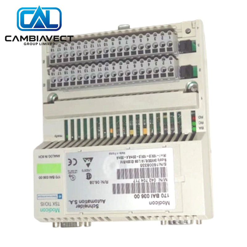 Momentum 8ch Analog Input 170BAI03600 Schneider 24VDC
