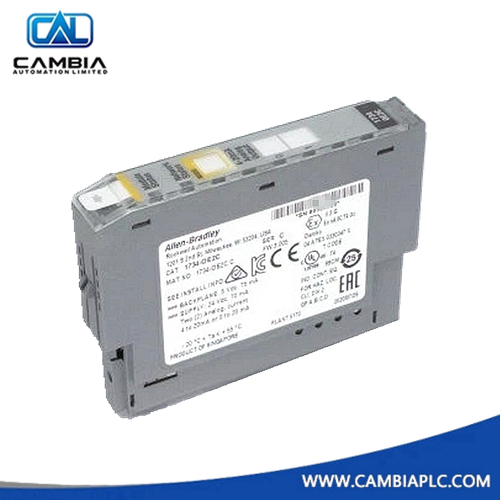 1797-IRT8 | Allen-Bradley | POINT I/O 2 Point Analog Output Module
