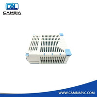 OVATION 1C31181G04 Module ~cambiaplc