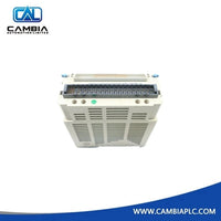 OVATION 1C31181G04 Module ~cambiaplc