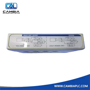 1C31219G02 | Emerson Ovation | Relay Output Module with Contact Monitoring