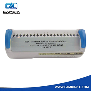 Ovation Westinghouse 5X00605G01 Analog Input Module