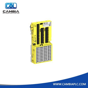 ABB DX581-S Safety digital input/output module