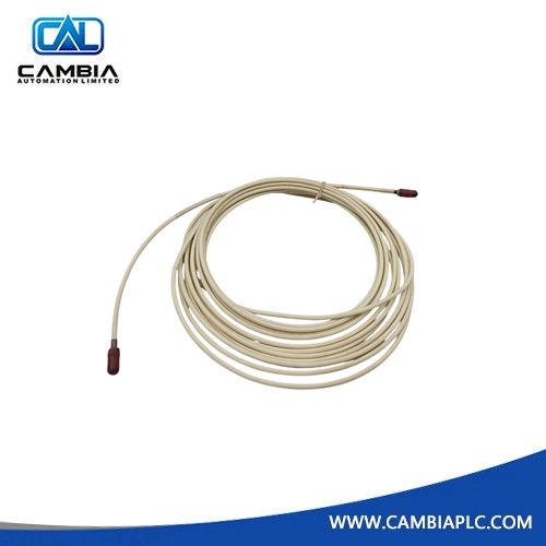 21747-080-00 | Bently Nevada 8m Proximitor Extension Cable