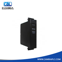 GE IS220PPROH1A Module PROTECTION IN/OUT