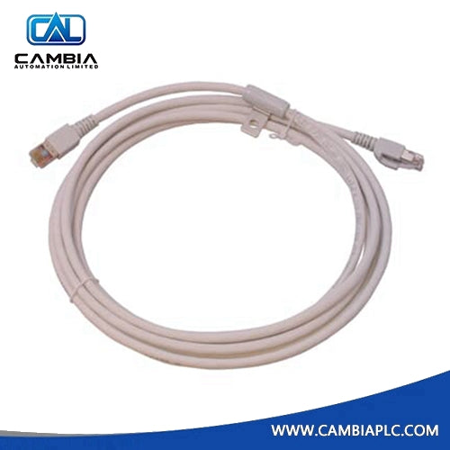 Foxboro P0800DV Cable Fieldbus Extension Ms Lower 2 Ft