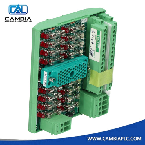 Triconex 3000051-001 3000051-101N Power Supply Module