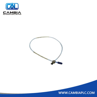 3300 XL | Bently Nevada 330104-00-08-10-02-CN Cable