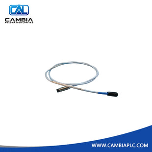 Bently Nevada | 3300 Probe | 330106-05-30-10-12-CN