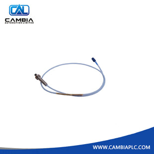 Sondas de proximidad Bently Nevada 330103-00-10-10-02-CN | 3300 XL de 8 mm