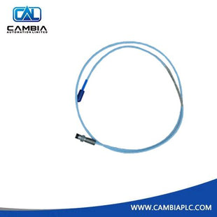 BENTLY NEVADA 330105-02-12-10-02-05 ໂພຣບຕິດດ້ານຫຼັງ 8 ມມ