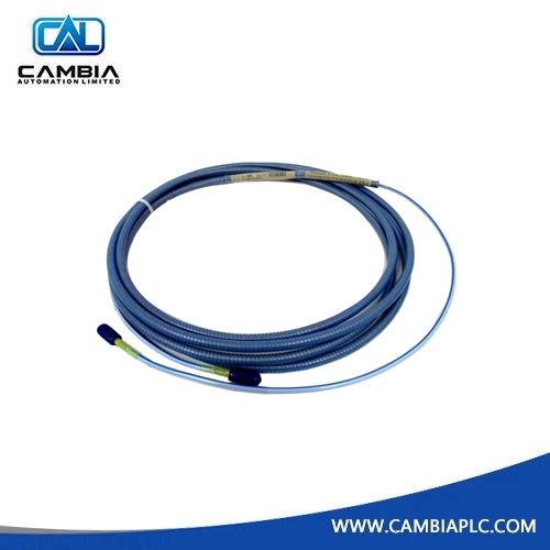 Bently Nevada 330930-060-02-CN | 3300 NSv Standard Extension Cable