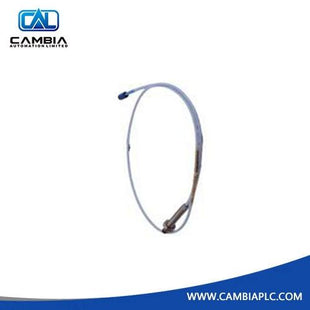 330905-00-10-05-02-CN ເຄື່ອງກວດຈັບຄວາມໃກ້ຄຽງ Bently Nevada 3300 NSv