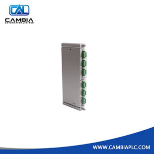 Bently Nevada 135031-01 | RIM I/O Module