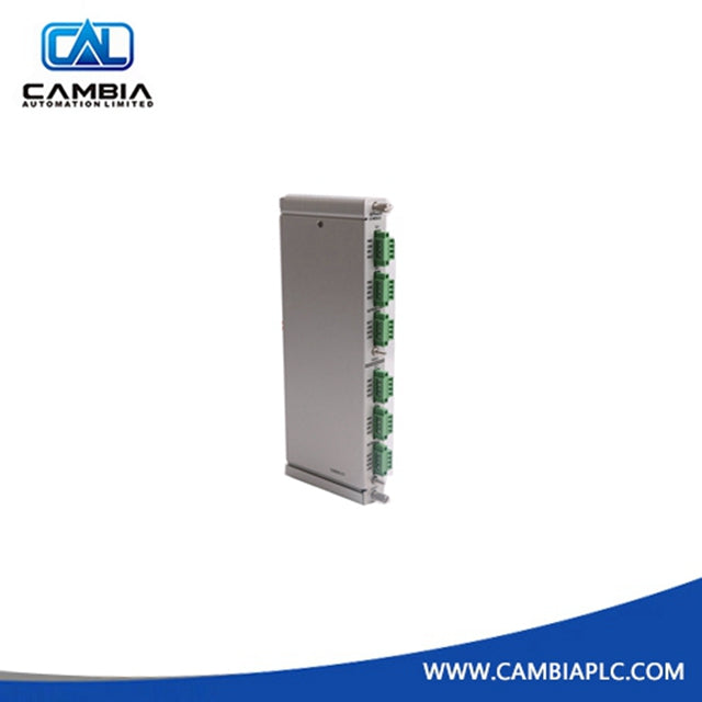 Bently Nevada 135031-01 | RIM I/O Module