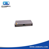Bently Nevada 125760-01 Data Manager 1/O Module