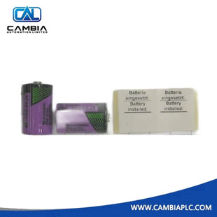 ABB 3BDM000199R1 Battery for RAM buffering