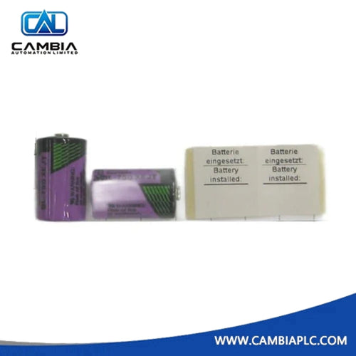 ABB 3BDM000199R1 Battery for RAM buffering