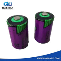 ABB 3BDM000199R1 Battery for RAM buffering