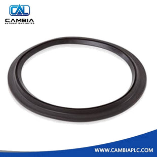 ABB 3HNM 12513-1 GASKET HW. SERVO 4