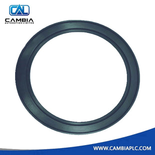 ABB 3HNM 12513-1 GASKET HW. SERVO 4