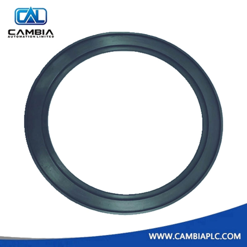 ABB 3HNM 12513-1 GASKET HW. SERVO 4