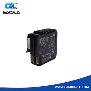 Emerson VE4001S2T2B3 module