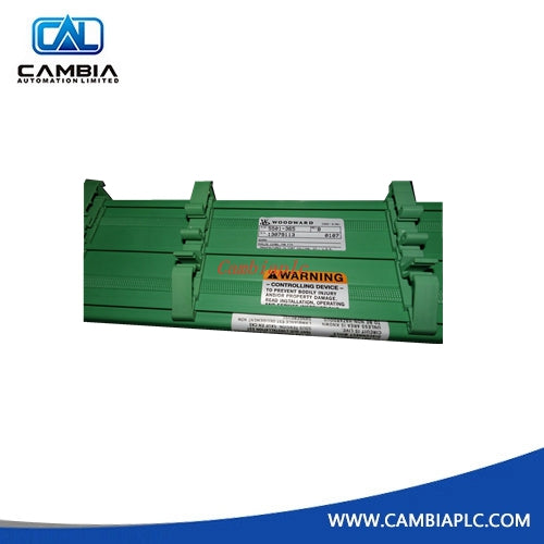 Woodward 5501-365 Module
