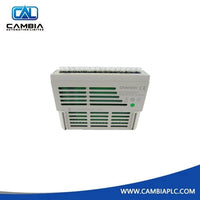 Módulo de entrada RTD OVATION 5X00411G01 Emerson Ovation | Cambiaplc.com
