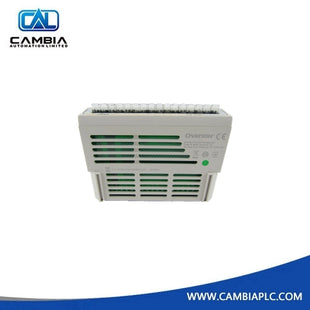 Módulo de entrada RTD OVATION 5X00411G01 Emerson Ovation | Cambiaplc.com