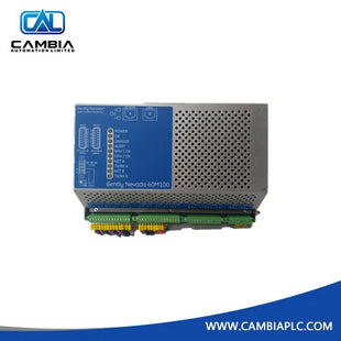 Bently nevada 60M100-00 Condition Monitoring System
