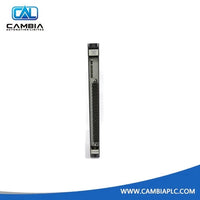 Módulo de entrada de CA/CC de 115 V Reliance Electric 61C501, nuevo