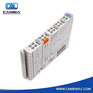 WAGO 750-466 2-channel analog input Module