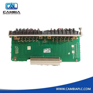 79532-01 82368-01 Bently Nevada 3300 3-Wire RTD Input Module