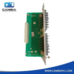 79532-01 82368-01 Bently Nevada 3300 3-Wire RTD Input Module