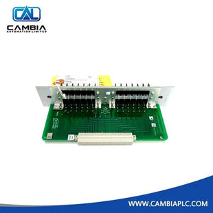 79532-01 82369-01 |Bently Nevada 3300 4-Wire RTD Input Module