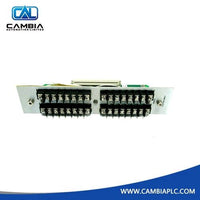 79532-01 82369-01 |Bently Nevada 3300 4-Wire RTD Input Module