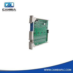 Paddle Board Module 51304540200 | Honeywell 51304540-200