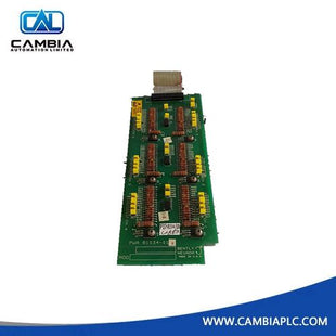 Bently Nevada 81034-01 3300 Series Temperature Monitor Board