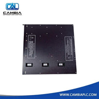 High Quality Triconex 8105 Blank I/O Slot Panel