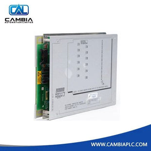 81228-01 Temperature Monitor Bently Nevada Industrial