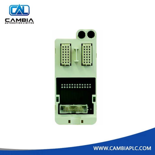 GE 8601-FT-NI-01 | PAC8000 Field terminal